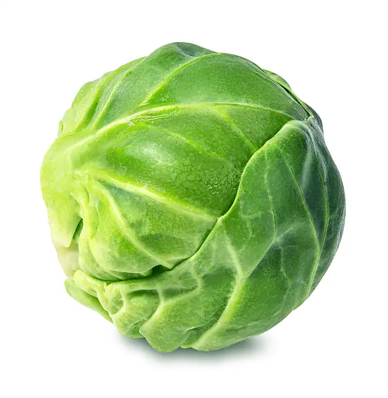 volta creative we dont sell sprouts An image of a sprout (which we dont sell)